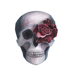 Scull with roses in the eye gothic magical texture isolated on white background. Watercolor hand drawn esoterics skull illustration. Art for design mystical halloween witch decoration, scary card