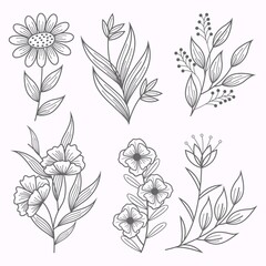  set of botanical leaf doodle wildflower Botanical line art drawings collection