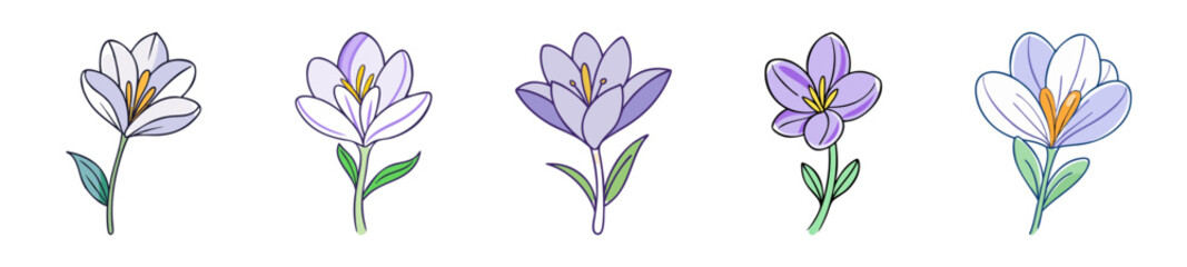 crocus flower icon, crocus flower line art - simple line art of crocus flower, perfect for crocus flower logos and icons