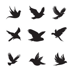 Bird Vector Image 1