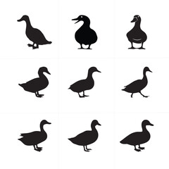 Black & White color vector of ducks 2