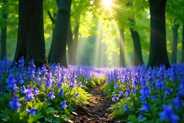 Obraz premium Enchanting image of a vibrant bluebell wood, dappled sunlight filtering through leaves, creating a magical, ethereal atmosphere perfect for spring and nature-themed projects , vibrant, spring