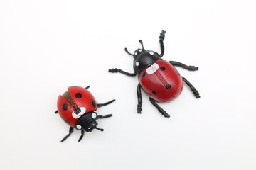 red ladybug on white background