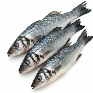 Fresh Sea Bass: Buy Online Now!