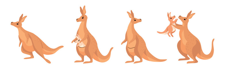 Funny Brown Kangaroo Australian Animal Character in Different Pose Vector Set