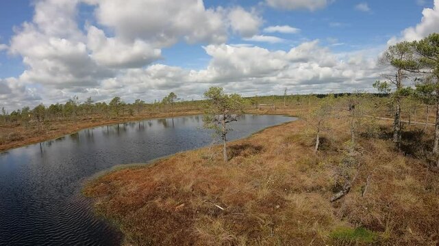 Wetland area of ​​Kemeri National Park in Latvia