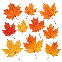 autumn leaves isolated on white isolated on transparent or white background png