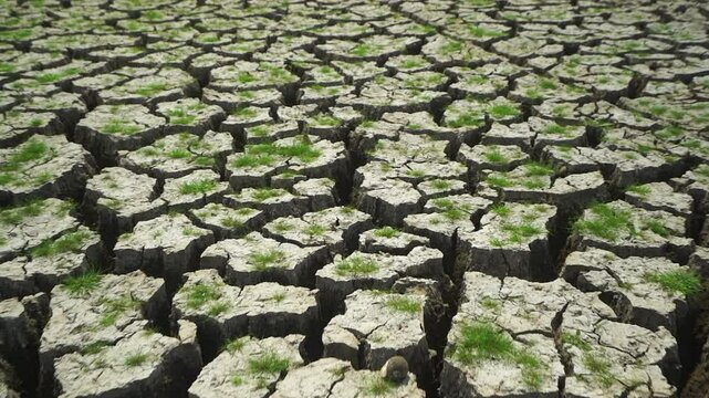 The land is parched due to a lack of rain for a long time.