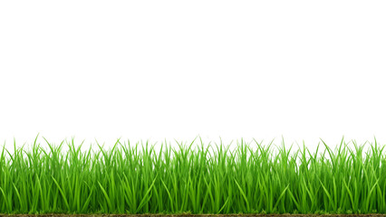 Isolated Green Grass Blades on Transparent Background Ideal for Natural, Eco-Friendly, and Botanical Design Projects.