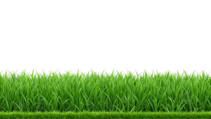 Vibrant Green Grass Isolated on Transparent Background Perfect for Natural, Eco, and Creative Design Applications.