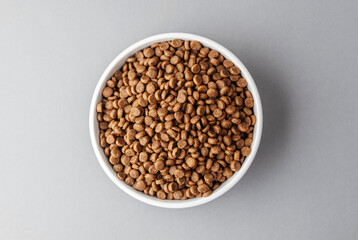 Closeup of dog food in white bowl on gray background