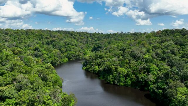 Amazonian Rainforest In Manaus Amazonas Brazil. Stunning River Winds Through A Lush Tropical Rainforest. Bolivia River Forest Background Coast. Bolivia Travel. Manaus Amazonas.