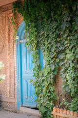 A door covered in the ivy in Kashgar, Xinjiang, China, copy space for text