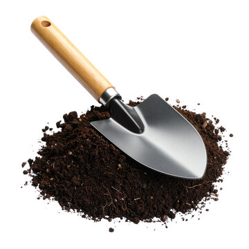 Shovel resting in freshly turned soil mound.