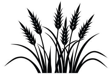 Obraz premium Elegant Silhouette of Wheat A Monochrome Display of Nature's Beauty