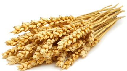 Golden Wheat Stalks Bundle Closeup Photography