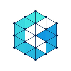 Monogram Logo SET Hexagonal Data Connect Icon 