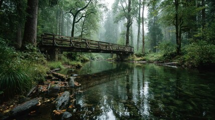 Misty forest bridge reflecting in calm river