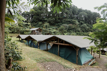 hut in the jungle