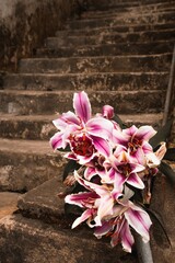 Elegant Pink Lilies on Stone Steps. A Floral Still Life with Vintage Charm and Texture.