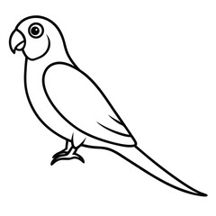 Obraz premium Line Art Parrot Drawing Simple Bird Illustration