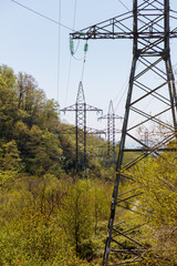 A power line tower is surrounded by trees