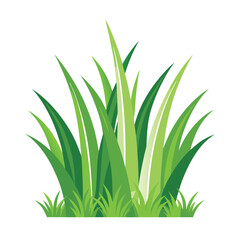 Obraz premium Green Grass Borders Set Isolated White Background With Gradient Mesh, Vector Illustration.