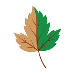 Fototapeta premium Horse Chestnut Leaf vector illustration. Vector clipart isolated on white background.