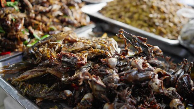 Roasted insects for sale in Cambodian market. Southeast Asian cuisine tight focus