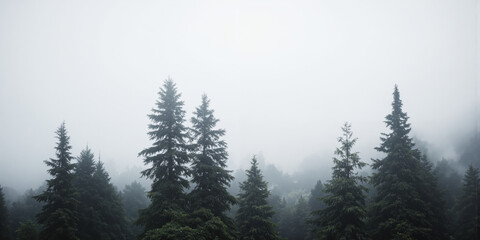 Fototapeta premium Foggy Forest Negative Space Minimalist tree silhouettes emerging from dense fog creating abstract vertical elements against white negative space without