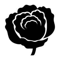 Striking silhouette of a perfectly layered rose, conveying elegance and simplicity