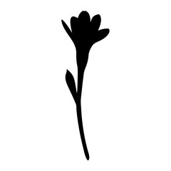 Elegant black flower silhouette against a bright white background evoking simplicity