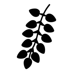 Stylized Branch of Berries Illustration with a Dark Solid Silhouette Design