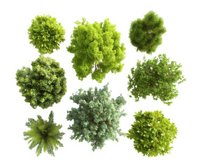 Fototapeta premium [Transparent Background PNG]Top-Down View of Diverse Trees and Plants