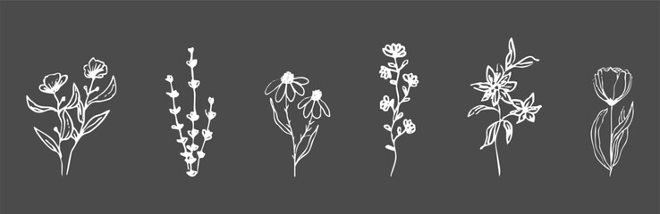 Wild forest herbs and flowers vintage textured chalk drawing sketch. Line grass retro flora silhouette. Crayon doodle hand drawn