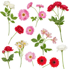 Collection of various flowers isolated on transparent background