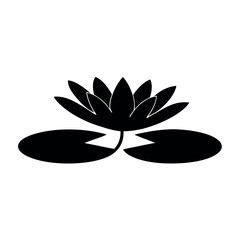 Elegant black silhouette of water lily flower and leaves on white background