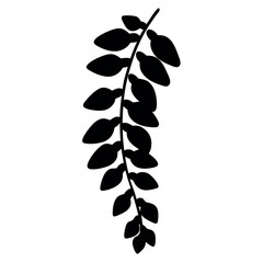 Elegant Wisteria Silhouette Cascading Downward with Overlapping Leaf Arrangement and Bold Lines