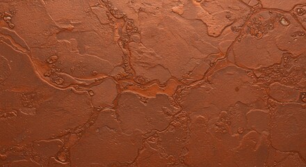 Fototapeta premium Brown Textured Surface with Crack-like Forms