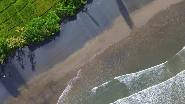 Aerial view of Pasut Beach in Bali, where strong waves crash on black sand, framed by lush green rice fields in soft morning light. Perfect for peaceful travel and nature visuals.