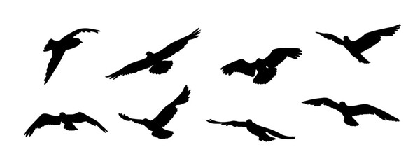 Flying bird silhouette. Birds in Motion. Flock of birds black silhouette isolated on white background