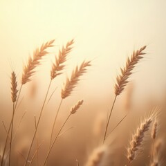 Fototapeta premium Golden grasses sway in the gentle breeze of a tranquil rewilding landscape at sunset, capturing nature's serene beauty Generative AI
