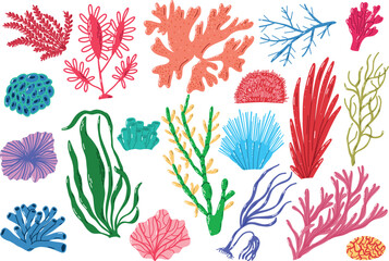 Colorful Seaweed and Coral Illustrations Representing Ocean Life Diversity. Vibrant hand-drawn illustrations of various seaweeds and corals, showcasing underwater biodiversity and marine life. 