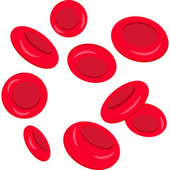 Red Blood Cells