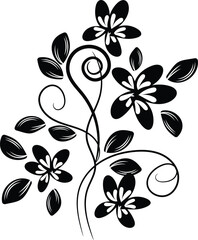 Elegant Black and White Floral Design with Swirls