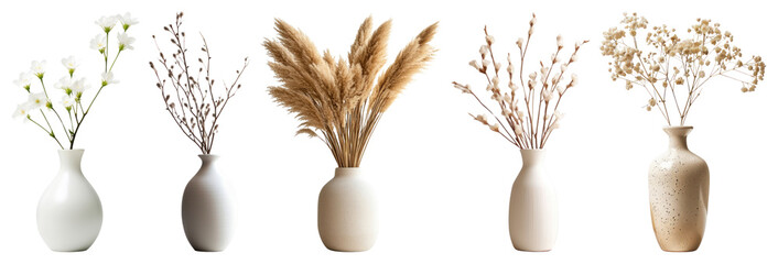PNG Elegant vases with dried flowers, element set on transparent background
