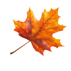 Obraz premium yellow maple leaf ,icon, 3d render, 3d transparent background