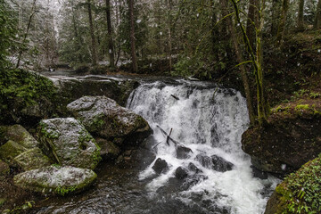 Obraz premium waterfall in the forest