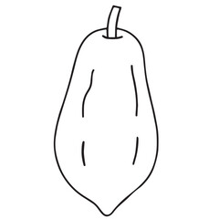 vector illustration of a pawpaw
vector illustration of a papaya