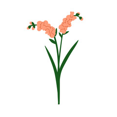 Floral branch, hyacinth bloom. Delicate garden plant, flower blossoms with leaves. Fresh spring seasonal decoration, botanical design element. Flat vector illustration isolated on white background